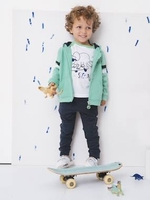 Jacket with Zip,  Fancy Stripes,  for Boys green bright solid with desig