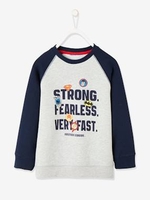 Justice League Sweatshirt in Fleece for Boys grey medium mixed color