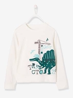 Long-Sleeved Printed Top for Boys white light solid with design