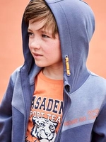 Sports T-shirt with Tiger,  for Boys blue medium solid with design