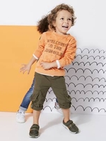 Sweatshirt Printed with Jungle Animals,  for Boys orange dark solid with design