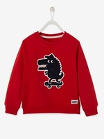 Sweatshirt with Crocodile & Skateboard in Relief,  for Boys red