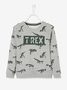 Sweatshirt with Dinosaur,  for Boys grey/print