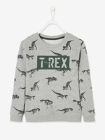 Sweatshirt with Dinosaur,  for Boys grey/print