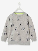 Sweatshirt with Fun Motifs,  for Boys grey light mixed color