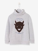 Sweatshirt with Furry Bison for Boys grey light mixed color