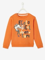 Sweatshirt with Graphic Motif for Boys orange medium solid with desig
