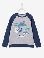 Sweatshirt with Sharks & Raglan Sleeves for Boys grey medium mixed color
