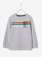 Sweatshirt with Skating Embroidery for Boys grey medium mixed color