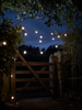 Festoon Party Lights