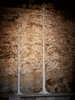 Indoor Outdoor Slim White Light Up Tree - 1.6m