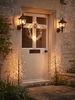Naked Wire Front Door Light Up Tree Set