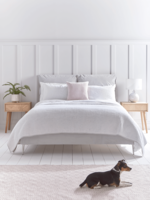 NEW Pillowy Velvet Super King Bed - Soft Grey