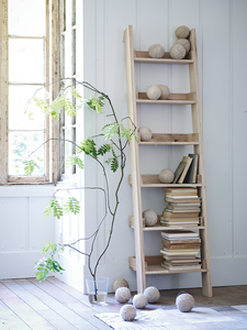 Oak Ladder Shelf