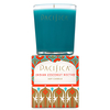 Pacifica Indian Coconut Nectar Soy Candle