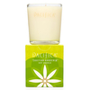Pacifica Tahitian Gardinia Soy Candle