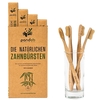 Pandoo Toothbrushes - Pack of 4