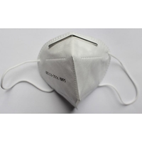 Protective KN95 Face Mask - 2 Pack