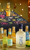 Advent Calendar - Gin And Tonic Advent Calendar