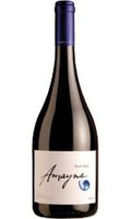 Amayna - Pinot Noir 2012 75cl Bottle