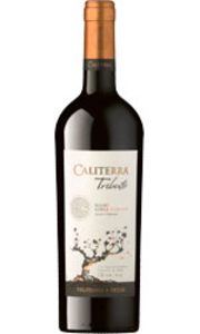Caliterra - Tributo Malbec 2013 75cl Bottle