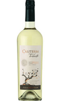 Caliterra - Tributo Sauvignon Blanc 2014 75cl Bottle