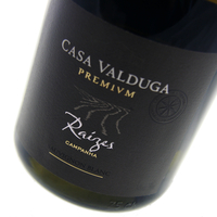 Casa Valduga - Raizes Sauvignon Blanc 2016 6x 75cl Bottles