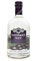 Haymans 1820 Gin Liqueur 70cl Bottle