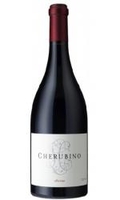 Larry Cherubino - Shiraz 2009 12x 75cl Bottles