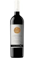 Torres Chile - Cordillera Shiraz 2010 6x 75cl Bottles
