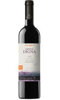 Torres Chile - Santa Digna Reserve Syrah 2012 6x 75cl Bottles