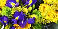 Blue and Yellow