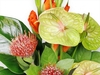 Front Facing Contemporary Fishbowl Arrangement