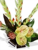 Front Facing Contemporary Vase Arrangement