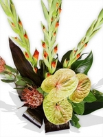 Front Facing Contemporary Vase Arrangement
