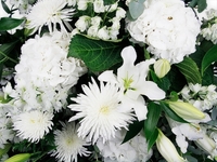 Front Facing White Elegance Flower Basket