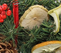 Fruit and Cone Wreath