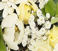 Luxury Pure White Wreath