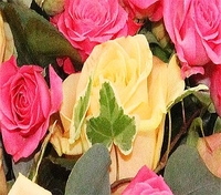 Luxury Roses Funeral Posy