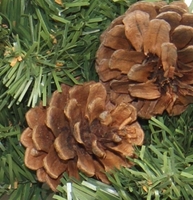 Pine Cone Christmas Wreath