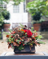Pines and Roses