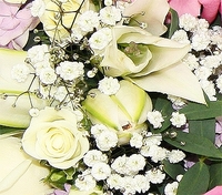 Pink and White Wreath