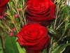 Red Roses with Waxflower