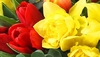 Spring Time Mix
