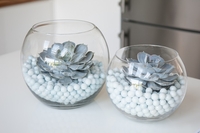 Succulent Bowl