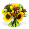 Sunflowers & Roses