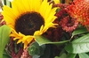Sunflowers and Pins